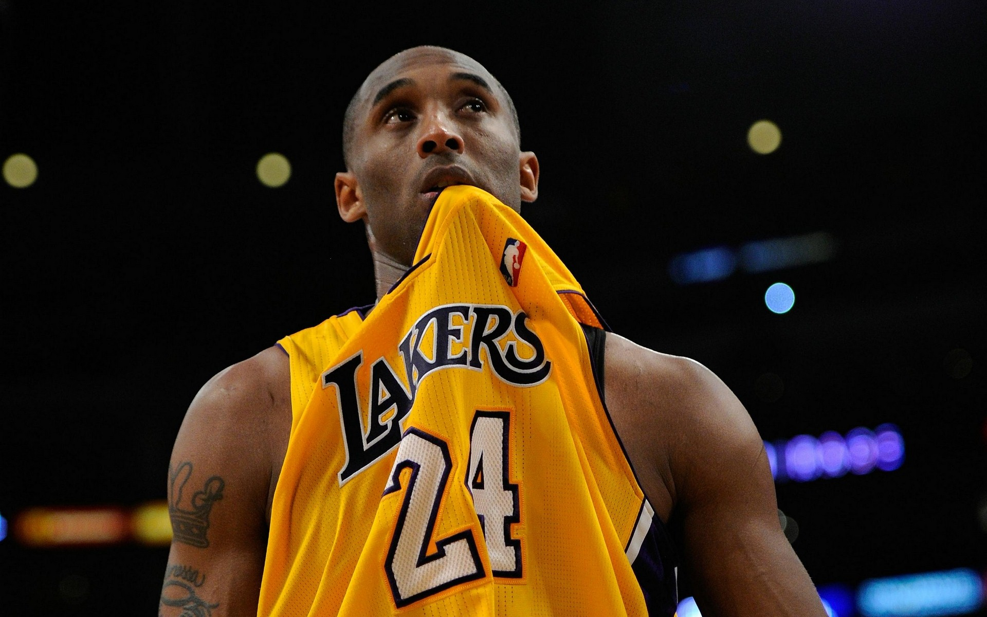 引发了球迷 引发了球迷